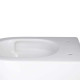 Qtap Унітаз підвісний Tern із сидінням Soft-close QT1733052EUQW
