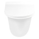 Qtap Унітаз підвісний Virgo безобідковий з сидінням Soft-close QT1833051ERW