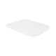 Qtap Сидіння для унітаза (Tern) з мікроліфтом Slim QT99HXU10W