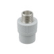 Raftec Муфта PPR 25мм ЗЗ 3/4