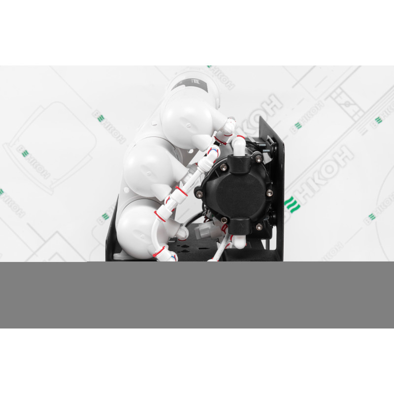 ECOSOFT Фільтр зворотного осмосу RObust Mini (ROBUST1000STD)