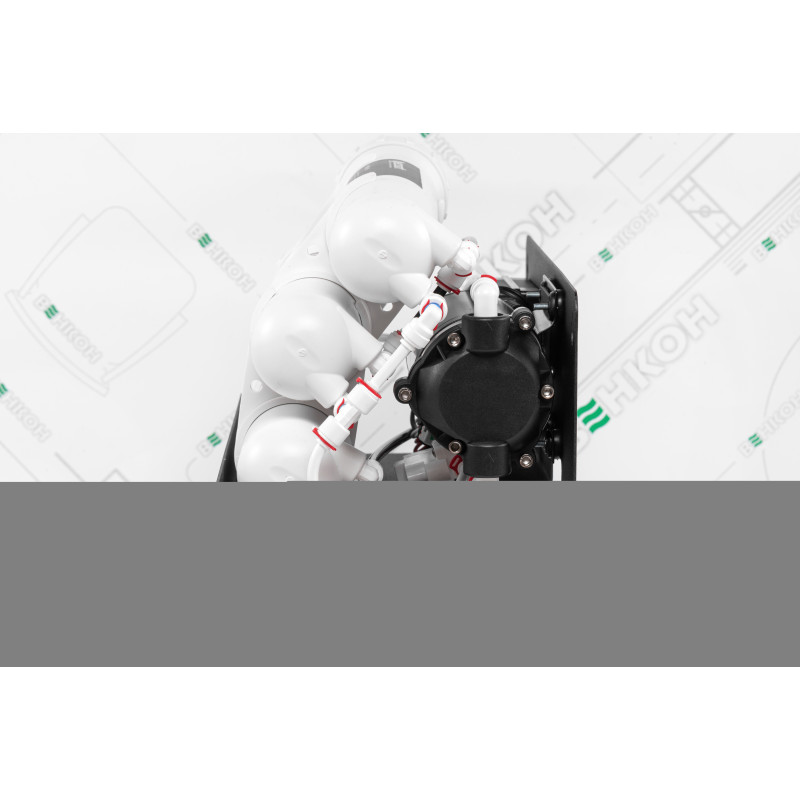 ECOSOFT Фільтр зворотного осмосу RObust Mini (ROBUST1000STD)