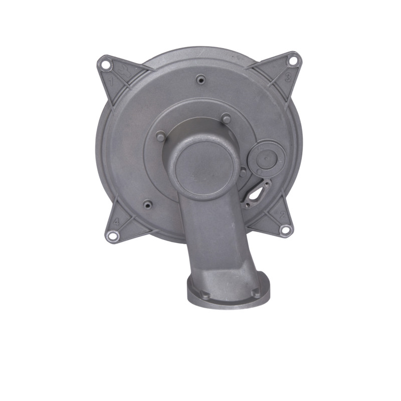 Thermo Alliance Ewa 24 Запчасть: газовая горелка SD00057022