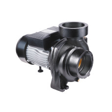 Насос поверхневий відцентровий Thermo Alliance CPm300/4 2,2 кВт SD00046832