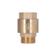 Клапан зворотний Thermo Alliance Standart 1