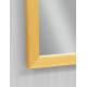 Зеркало настенное Zerix FONTE MRZ09-60x85-Reverse GOLD прямоугольное в золотой раме (ZX6211)