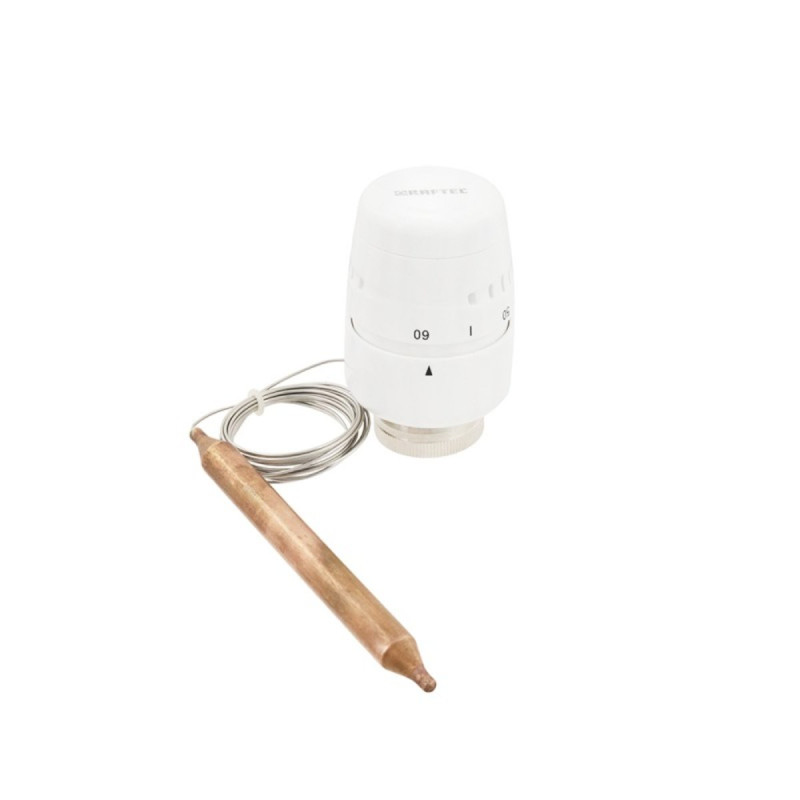 Raftec Термоголовка с выносным датчиком М30х1.5 TG3015