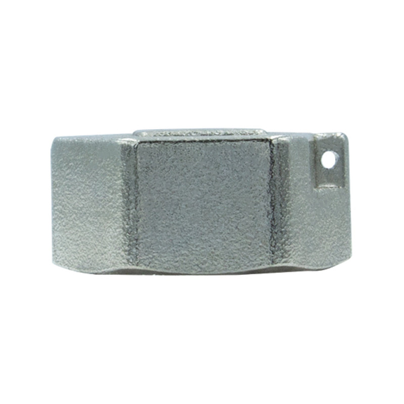 Raftec Заглушка 1" В никель