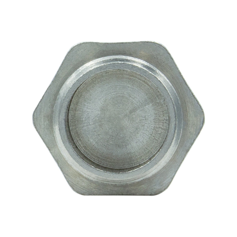 Raftec Заглушка 1" Н никель