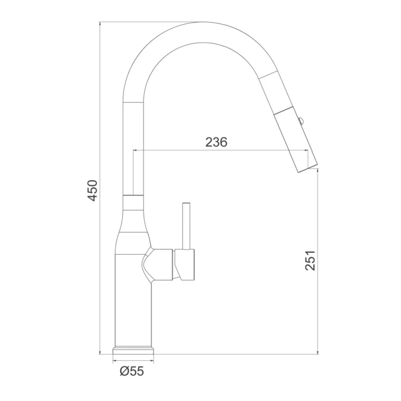 GAPPO Змішувач з висувним виливом для кухні G4398-46, 2 режими, чорний