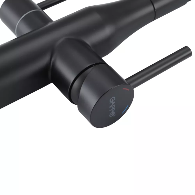 GAPPO Змішувач для кухні G4399-66 із підключенням фільтра питної води, чорний
