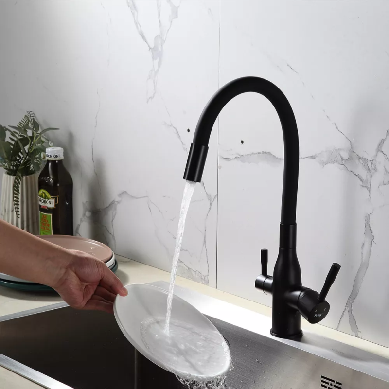 Frap Змішувач для кухні під фільтр F4396-6 з гнучким виливом