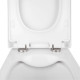 Qtap Унітаз підвісний Tern безобідковий з сідінням Soft-close QT1733052ERW