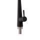 Qtap Змішувач для кухні Evicka з висувним виливом QTEVI9135103UB Black Matt