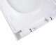 Qtap Сидіння для унітаза (Tern) з мікроліфтом Slim QT99HY2238W