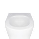 Qtap Унітаз підвісний Swan безободковий Ultra Quiet з сидінням Soft-close QT16335179W