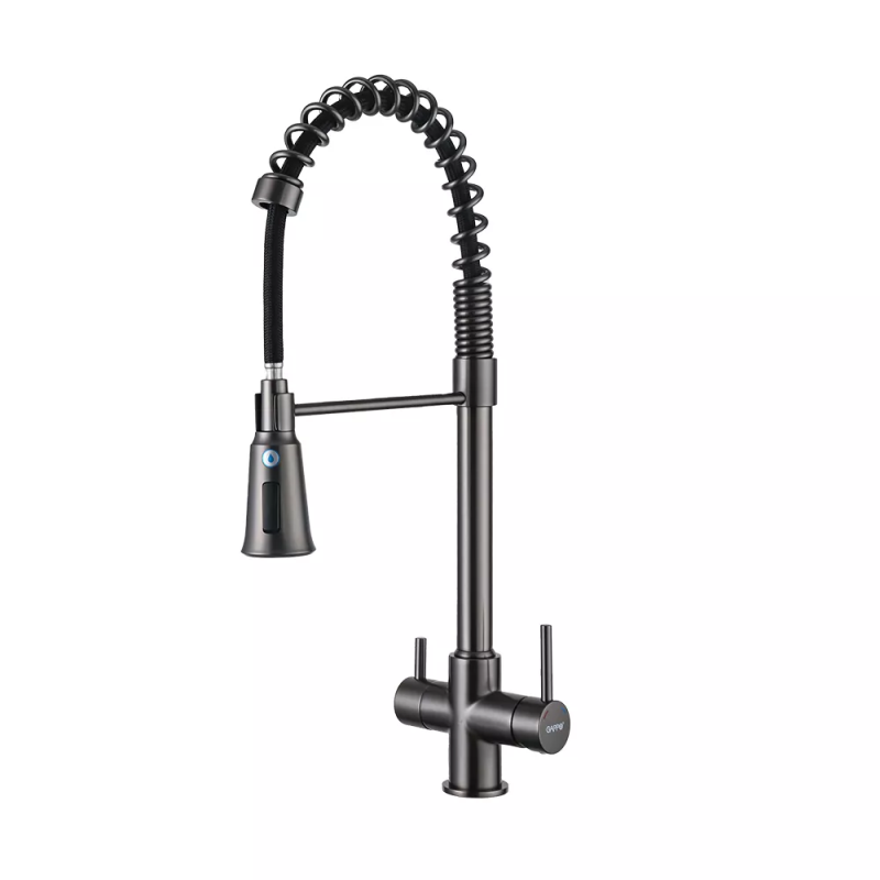 GAPPO Змішувач для кухні з підключенням фільтра питної води G4398-69, гнучкий вилив
