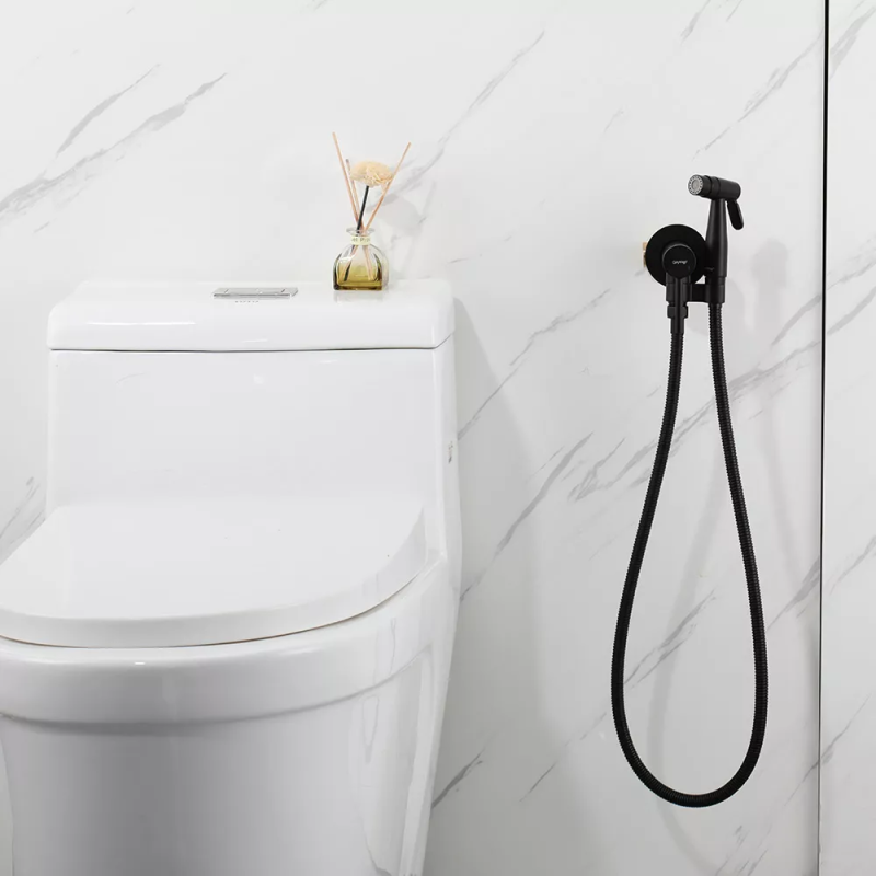 GAPPO Гігієнічний душ з вбудованим монтажем G7206-6, латунь, чорний