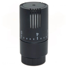 Carlo Poletti Термостатическая головка (жидкостный сенсор) BLACK MATTE M30 x 1,5 (A49800EFS9005O)