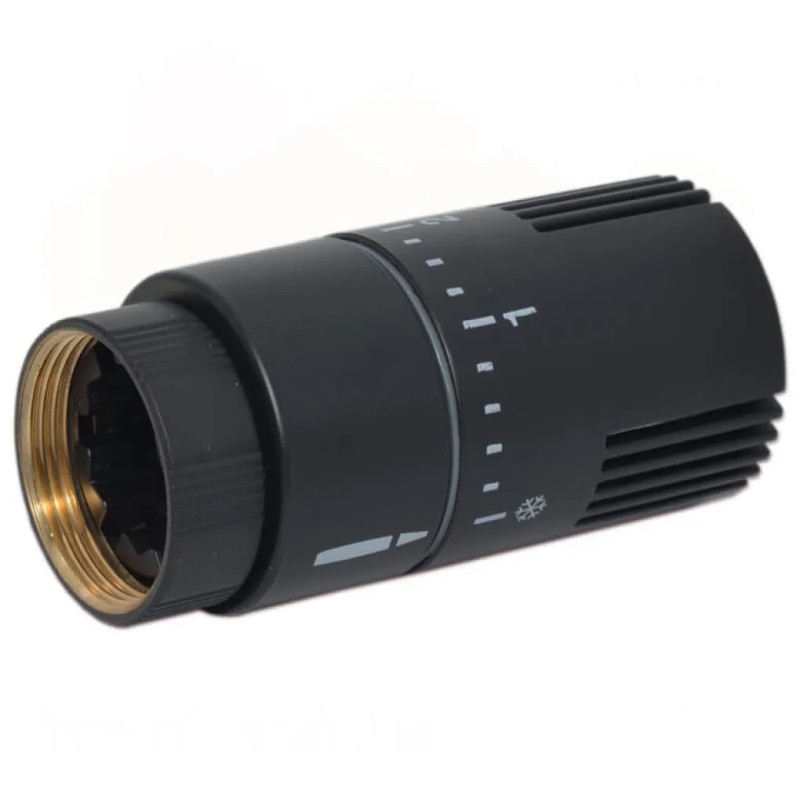 Carlo Poletti Термостатическая головка (жидкостный сенсор) BLACK MATTE M30 x 1,5 (A49800EFS9005O)