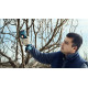 BOSCH Секатор Pro Pruner SOLO акумуляторний, 12В, 3.0 Ач, до 25мм, 1кг (06019K1020)