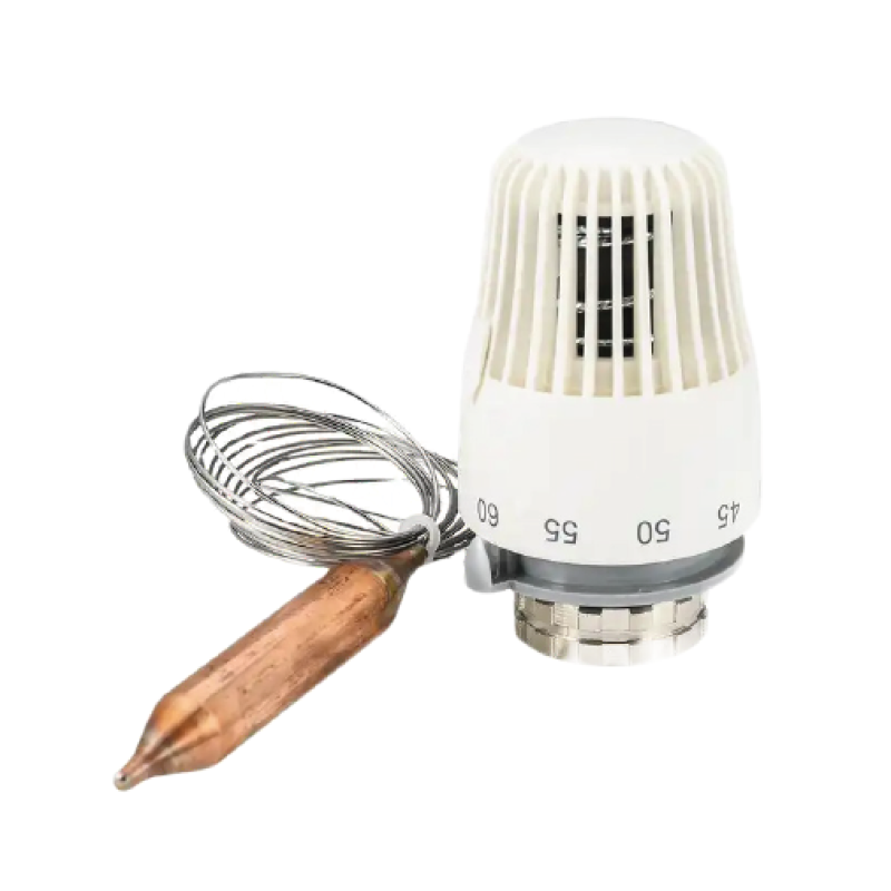 Tervix 228821 Термоголовка з виносним датчиком М30х1,5, 30-70С Pro Line TR 2 (228821)