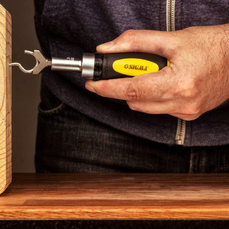 SIGMA Викрутка з реверсом + біти 101шт CrV (кейс) (4002501)