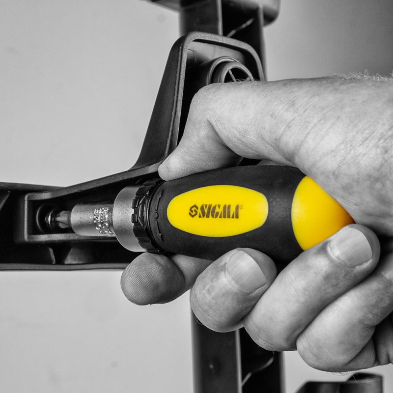 SIGMA Викрутка з реверсом + біти 101шт CrV (кейс) (4002501)