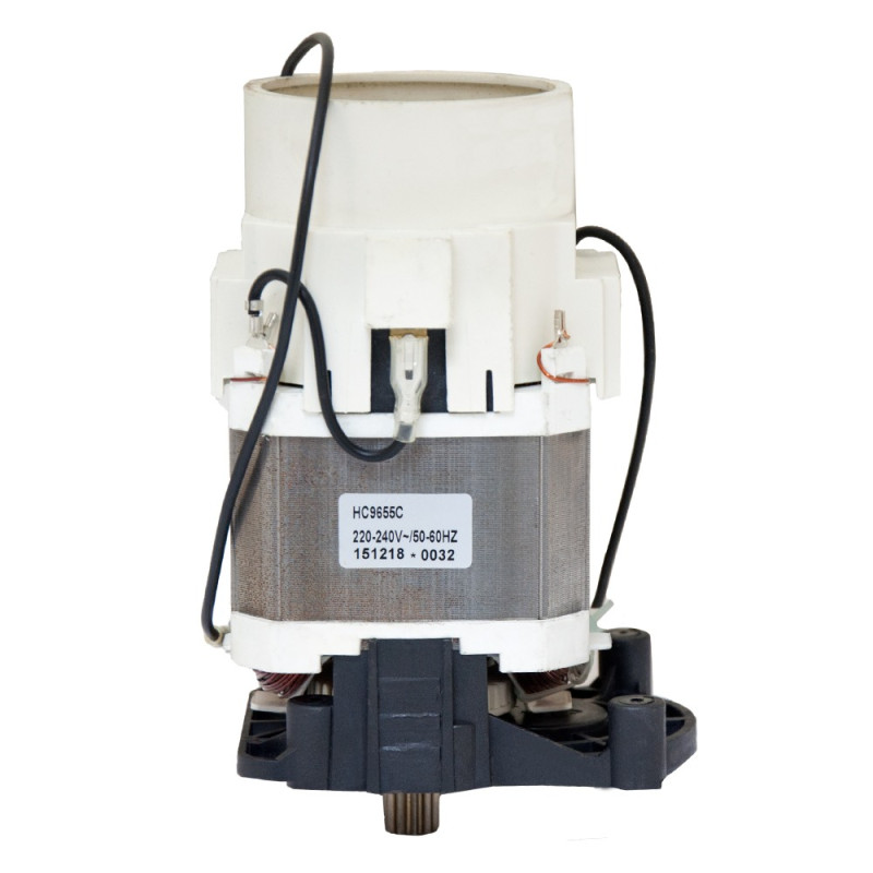 SIGMA Электродвигатель (в сборе) (534205199)