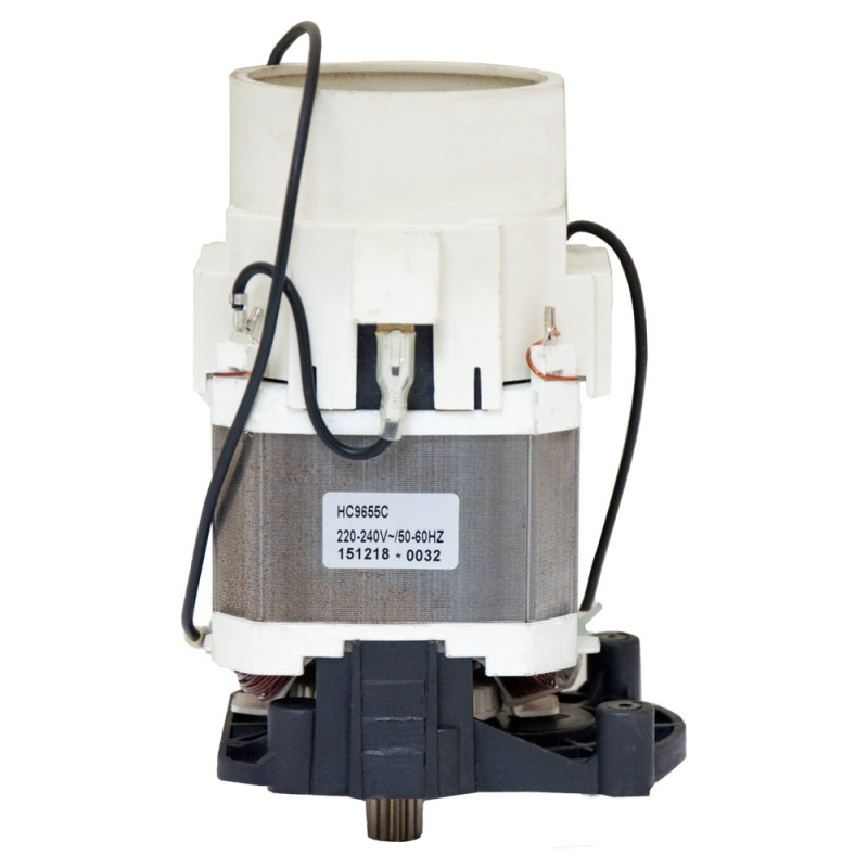 VORTEX Электродвигатель (в сборе) (534250399)