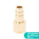 SIGMA Штуцер с внутренним резьбовым соединением FT 1/4" (латунь) (7022541) (5 шт)
