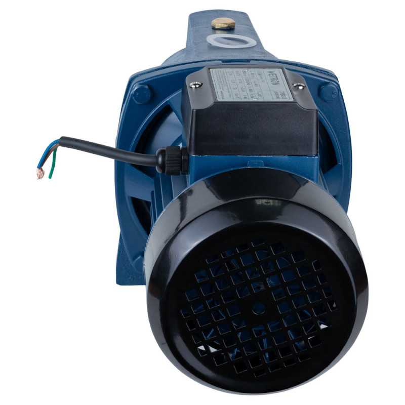 WETRON Насос центробежный самовсасывающий 0.75кВт Hmax 40м Qmax 80л/мин JSW10M (775033)