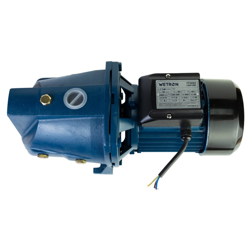 WETRON Насос центробежный самовсасывающий 0.75кВт Hmax 40м Qmax 80л/мин JSW10M (775033)