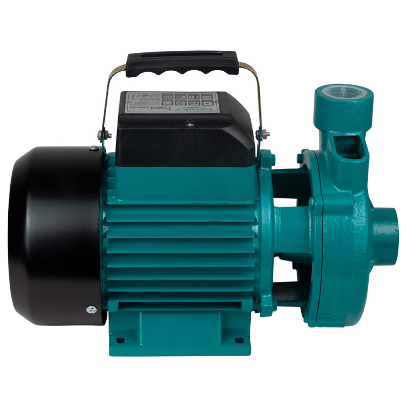 Aquatica Насос відцентровий 0.75 кВт Hmax 19 м Qmax 250 л/хв 1DKa-20 (775074)