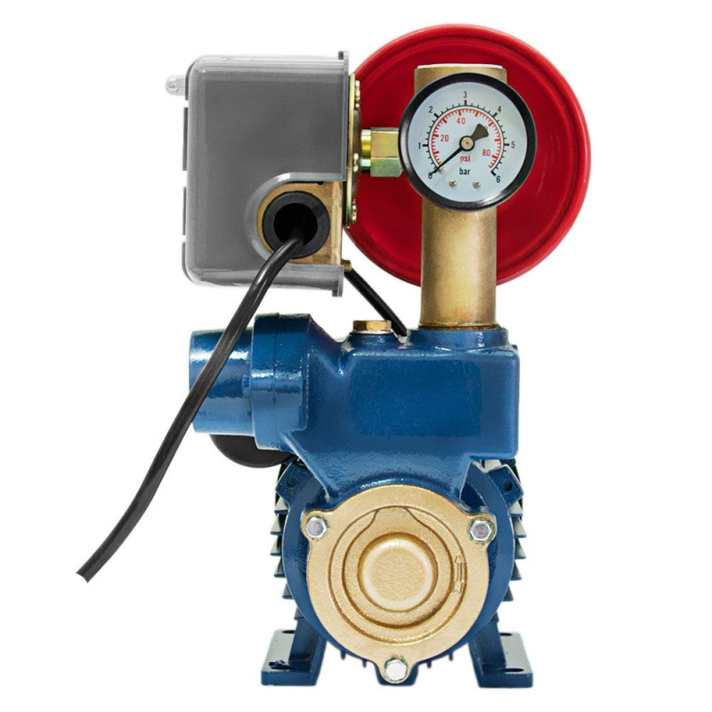 WETRON Станция 0.37 кВт Hmax 32 м Qmax 35 л/мин (вихревой насос) 1л AUTOGP125Z (776010)