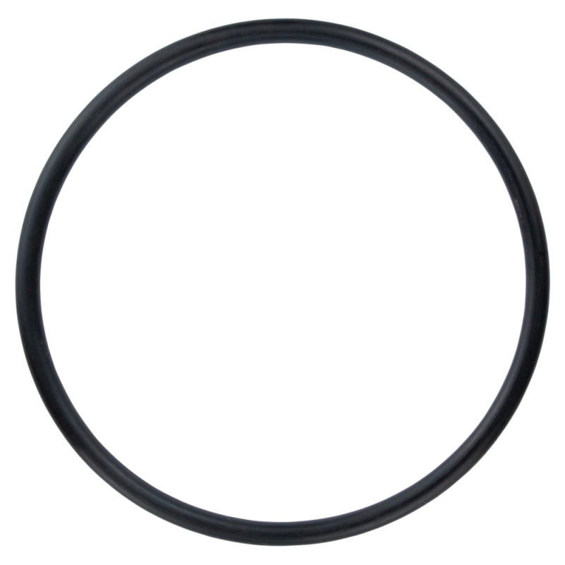 Aquatica Кільцеве ущільнення двигуна для каналізаційних станцій (90×4.8) (776912061)