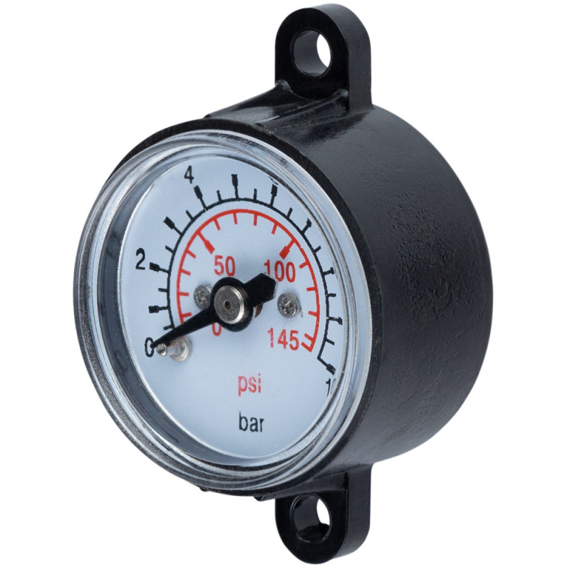 WETRON Манометр для контроллера 10 бар 29мм (779742)