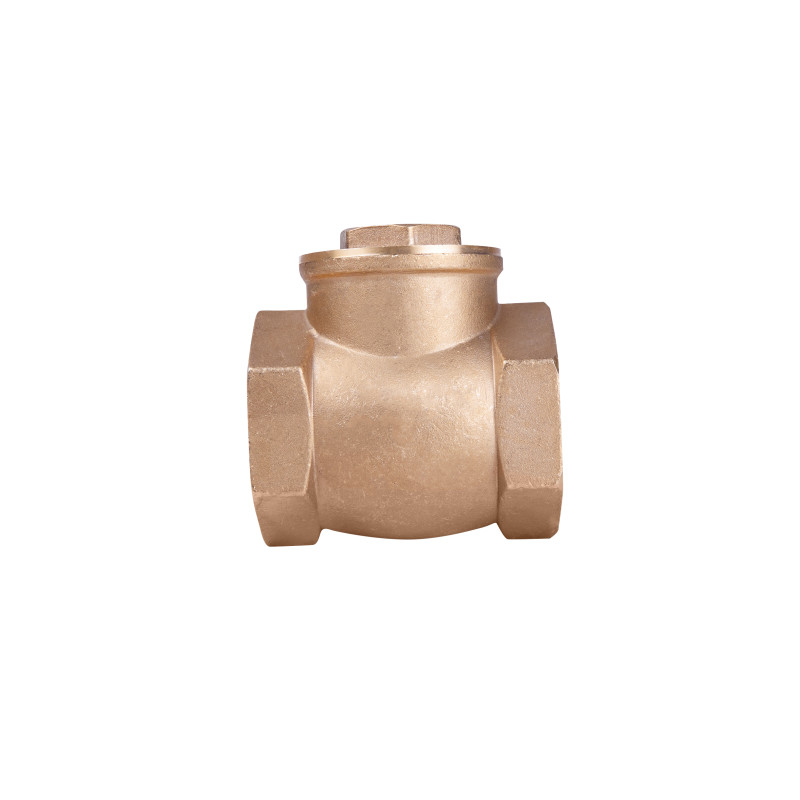 SD Plus Зворотний клапан 2" SD242W50