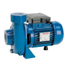 Speroni ПоверхневийДвоступінчастий насос CBM 203/A (101102030)