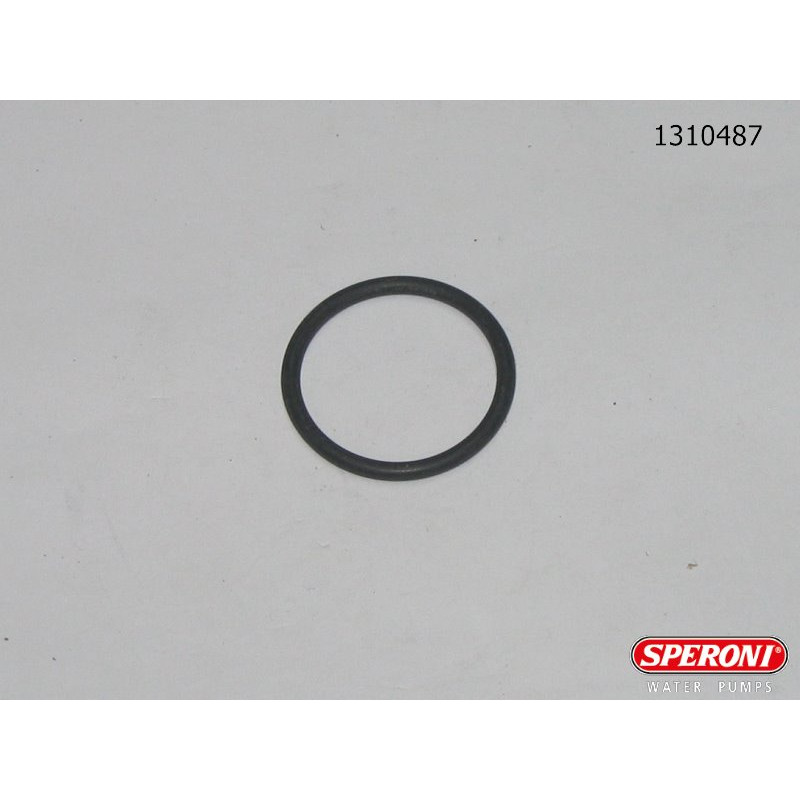 Speroni О-кольцо 3093 100-HL (резьба) (1310487)