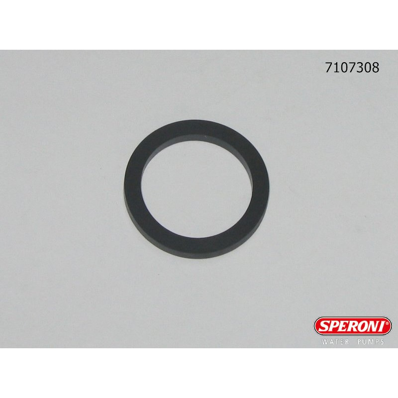 Speroni О-кольцо 45SH 100-HL (резьба) (7107308)