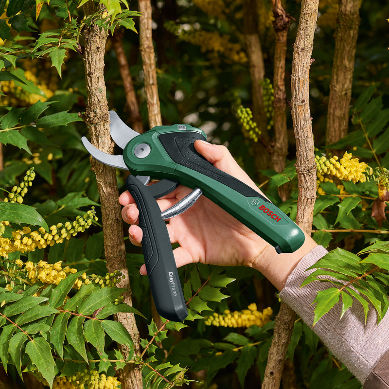 BOSCH Секатор акумуляторний EasyPrune 0.600.8B2.102 (06008B2102)