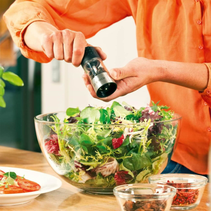 BOSCH Насадка-млин Spice для IXO (1600A001YE)