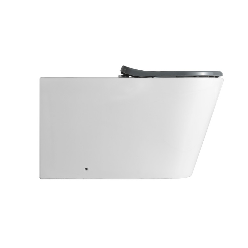Qtap Унітаз підлоговий Freedom інклюзивний безбачковий Rimless безобідковий з сидінням Soft-close WHITE QT22223368W