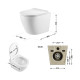 Qtap Унітаз підвісний Robin Ultra Quiet безобідковий з сідінням Soft-close 520x365x365 мм WHITE
