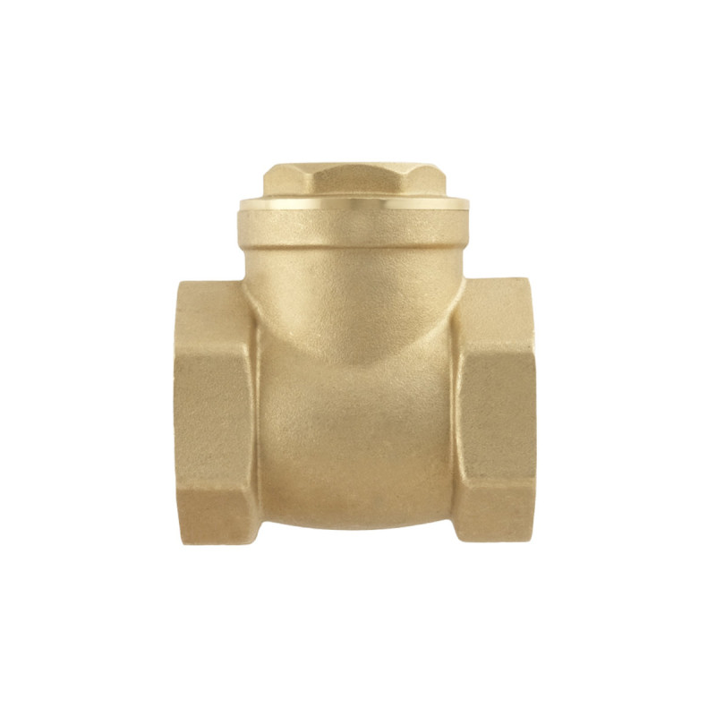 Raftec Зворотний клапан пелюстковий ВВ 1 1/2"