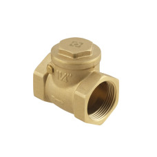 Raftec Зворотний клапан пелюстковий ВВ 1 1/4"