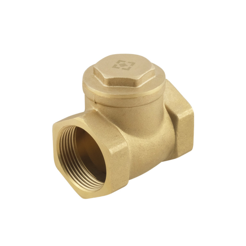 Raftec Зворотний клапан пелюстковий ВВ 1 1/4"