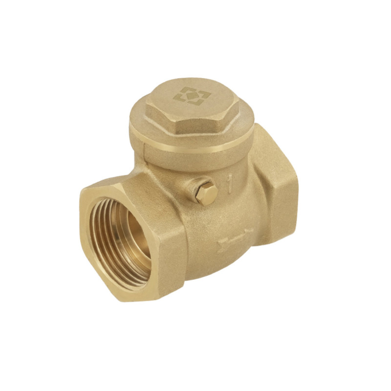 Raftec Зворотний клапан пелюстковий ВВ 1" PSWNV03