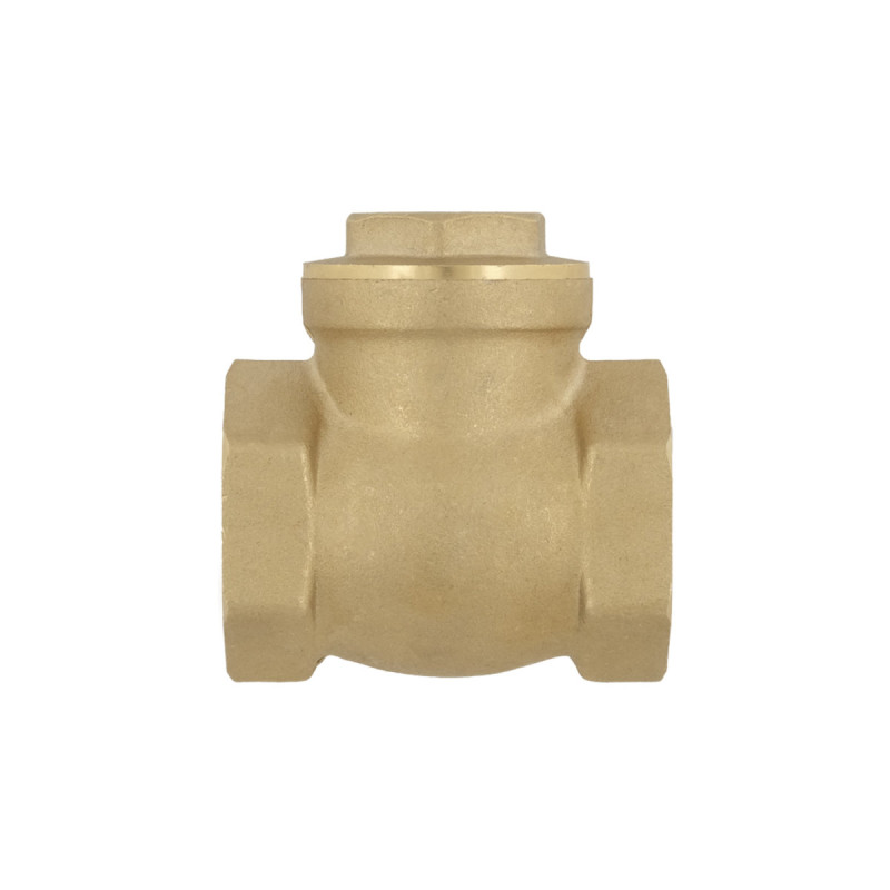 Raftec Зворотний клапан пелюстковий ВВ 1" PSWNV03